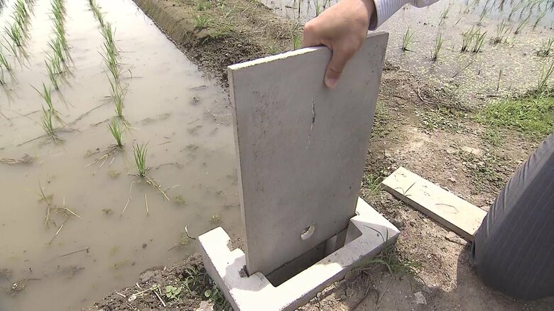 「田んぼダム」で大雨による浸水被害を防げ　西日本豪雨を教訓に農家が取り組み【岡山発】