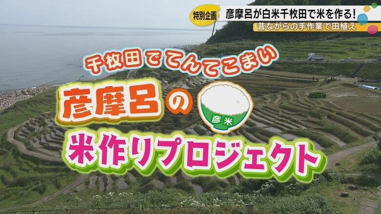 彦摩呂が能登・白米千枚田で田植え体験　「ありがたみが分かるよ」　2度の災害乗り越えた「やぶ新橋店」で能登の宝石箱も解禁｜FNNプライムオンライン