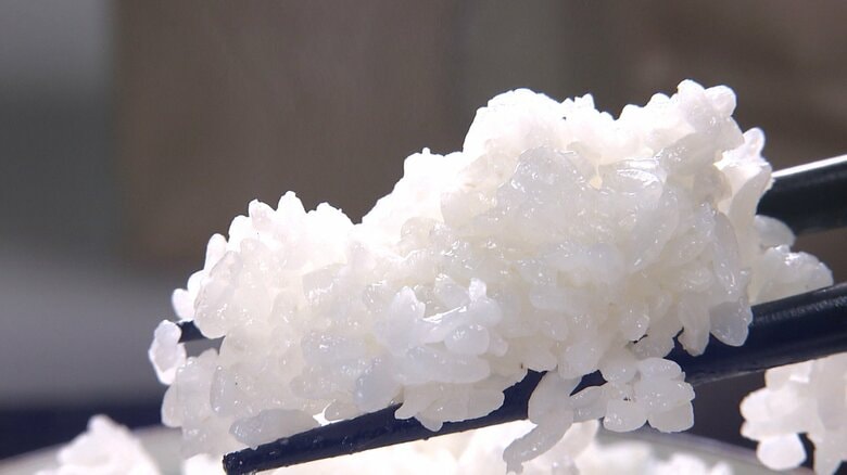 【速報】今年のコメ生産量50万トン増産見込み…需要は最大38万トン増　価格抑制されるか？推計方法改めた農水省需給見通し　｜FNNプライムオンライン