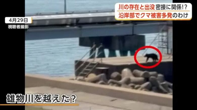川の存在と出没密接に関係か　沿岸部でクマ被害多発のわけ　秋田市｜FNNプライムオンライン
