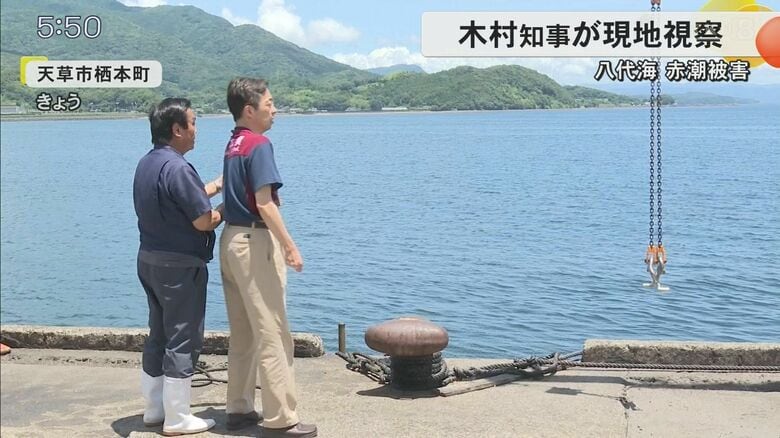 被害額は約7億7600万円超　熊本・八代海で4種類の赤潮が同時発生　カンパチやブリなど約26万7000匹が被害｜FNNプライムオンライン