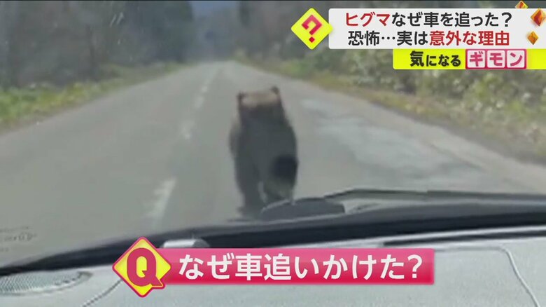 (視聴者撮影)