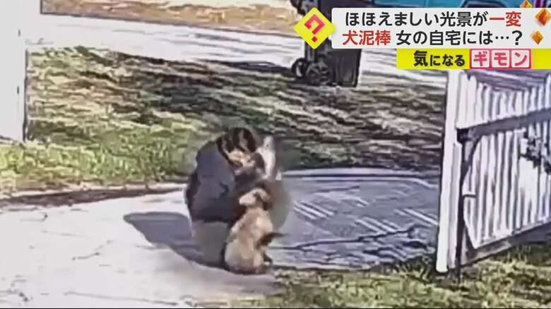 次の瞬間、犬の頭を乱暴につかみ…