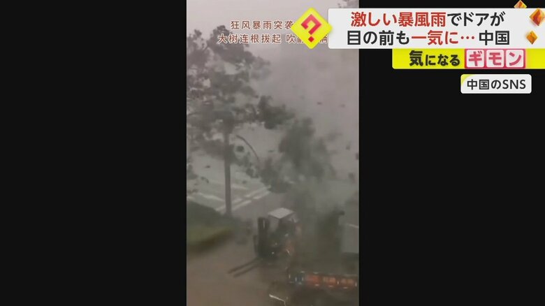 暴風雨で木が折られる様子