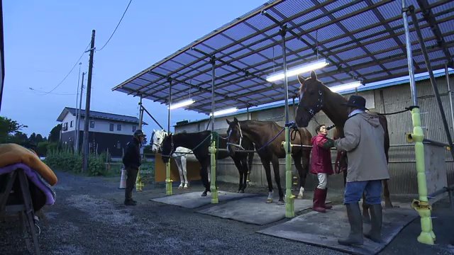 早朝、祭りに向け練習が始まる
