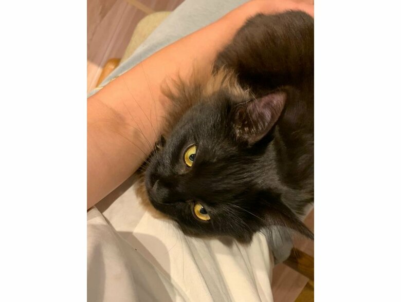 提供：イナタマグラムさん