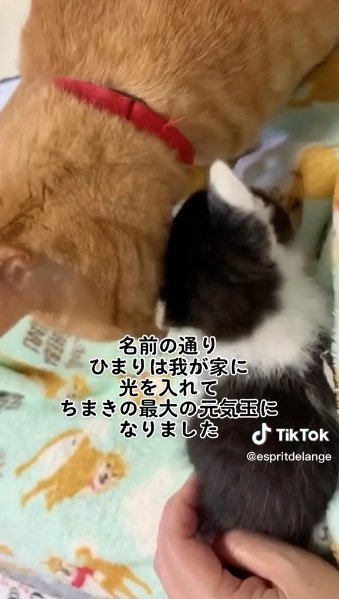 提供：エンとちぃさん