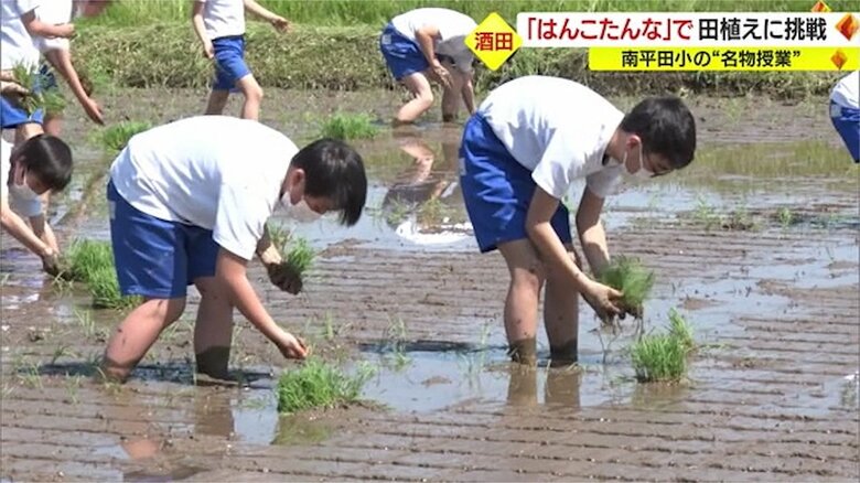 秋には自分たちで稲刈りも