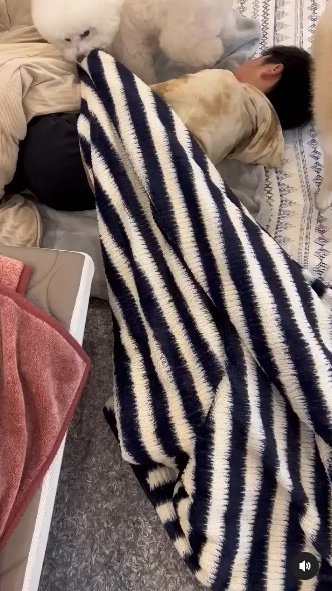 提供：エマ emmaさん