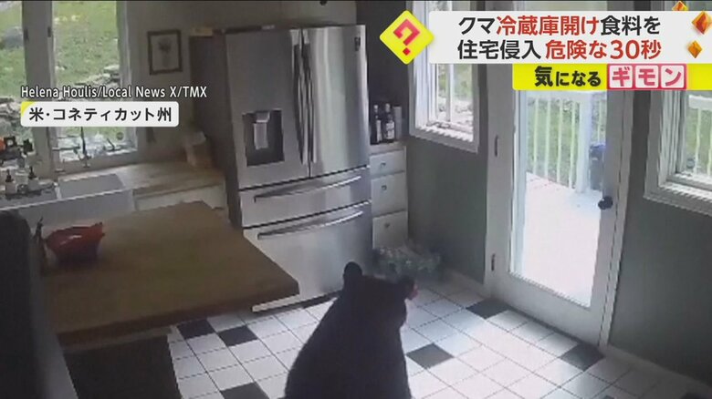 クマが冷蔵庫を器用に開け、食べ物をくわえる様子②