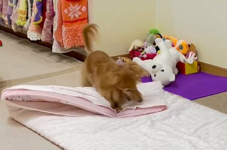 布団で暴れる理事長ちゃん