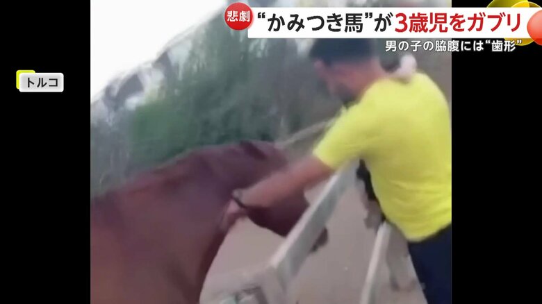 父親に抱っこされ、大好きな馬にエサを与えていたオマルくん