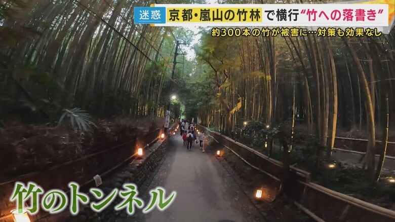 心が癒される京都の観光名所「竹林の小径」