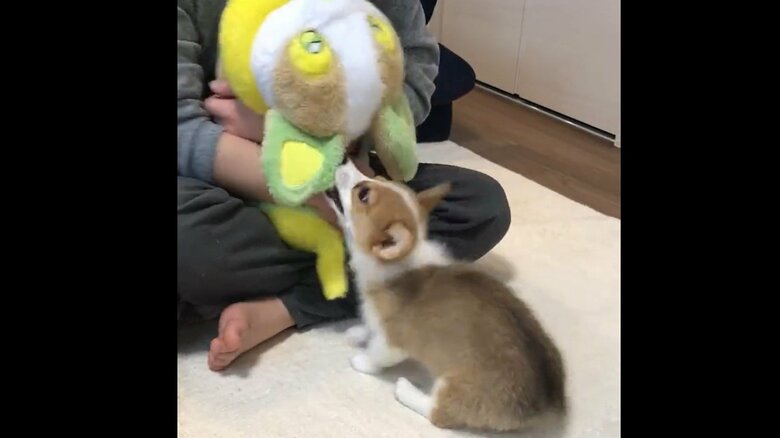 小さな時からお父さんとよく遊んでいた