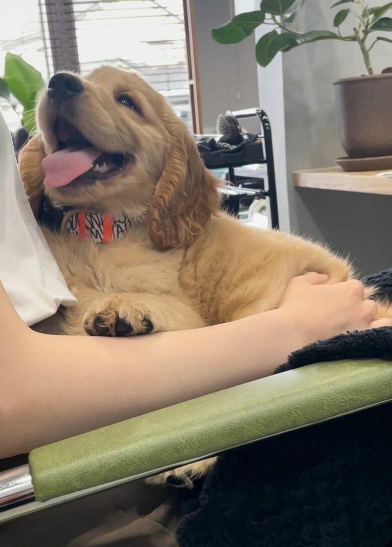 提供：関口和也さん