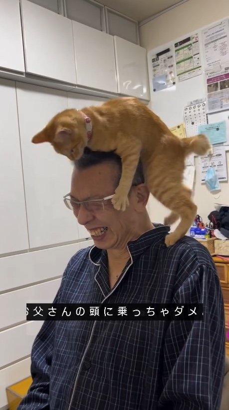 提供：cohakuさん
