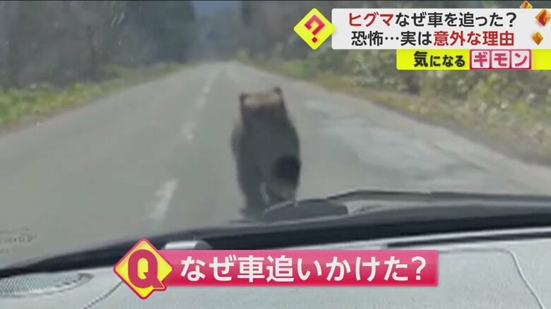 （視聴者撮影）