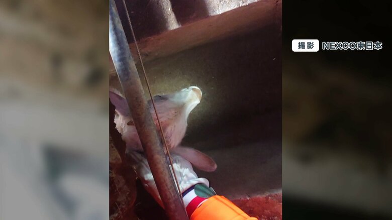 なだめながら作業を続け