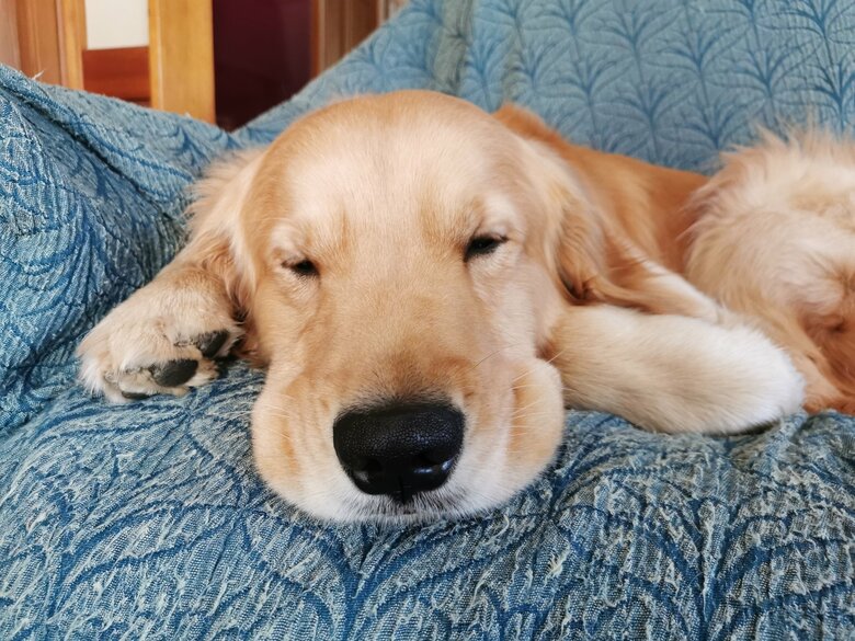 提供：ふぉるてさん