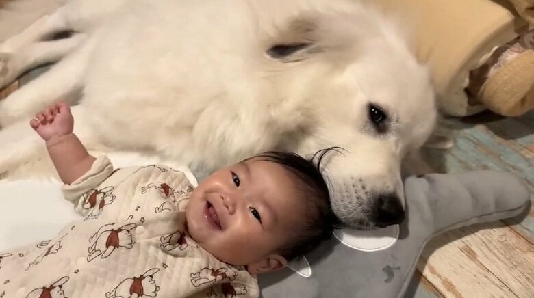 ぴったりとくっつく仲良し“姉妹”