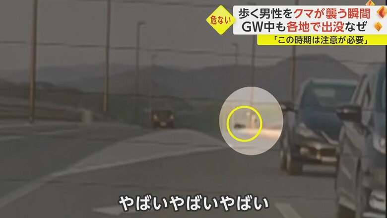 ところが、車道を渡って逃げた男性に向かって、クマが突進してきた。