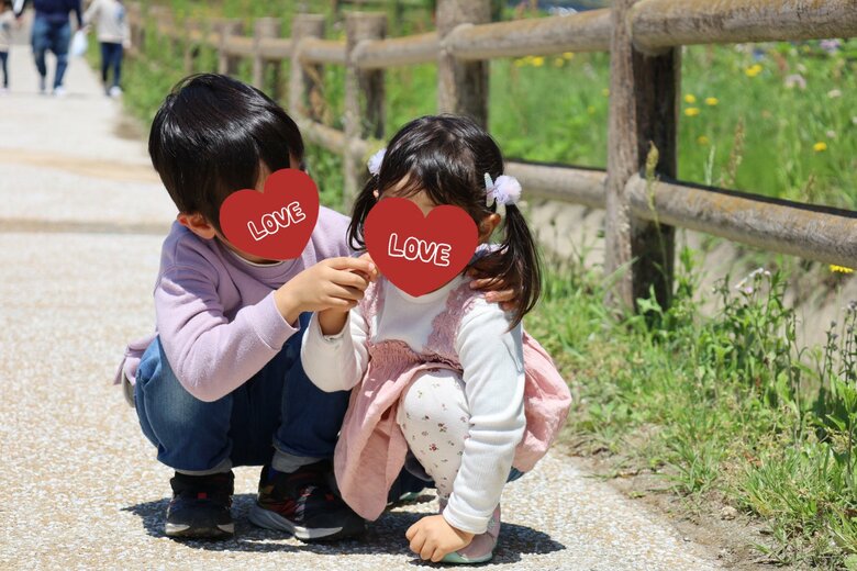 提供：青かんぱちさん