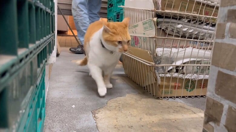 閉店前のパトロール
