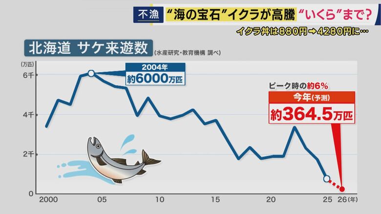 秋サケの記録的不漁