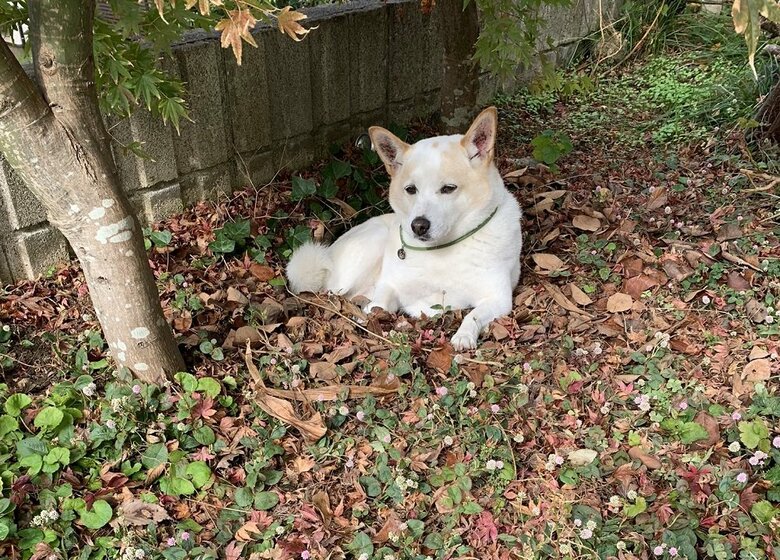 穴に入ってリラックス