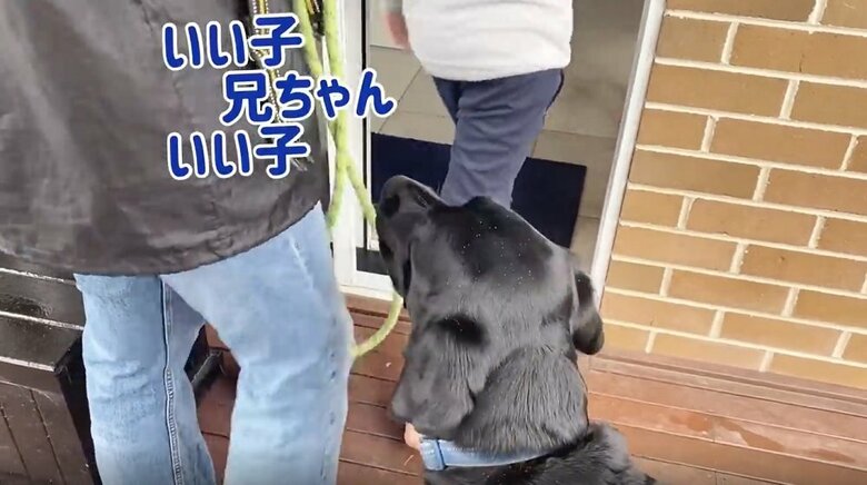 長男を褒めながらハーネスを外していく父