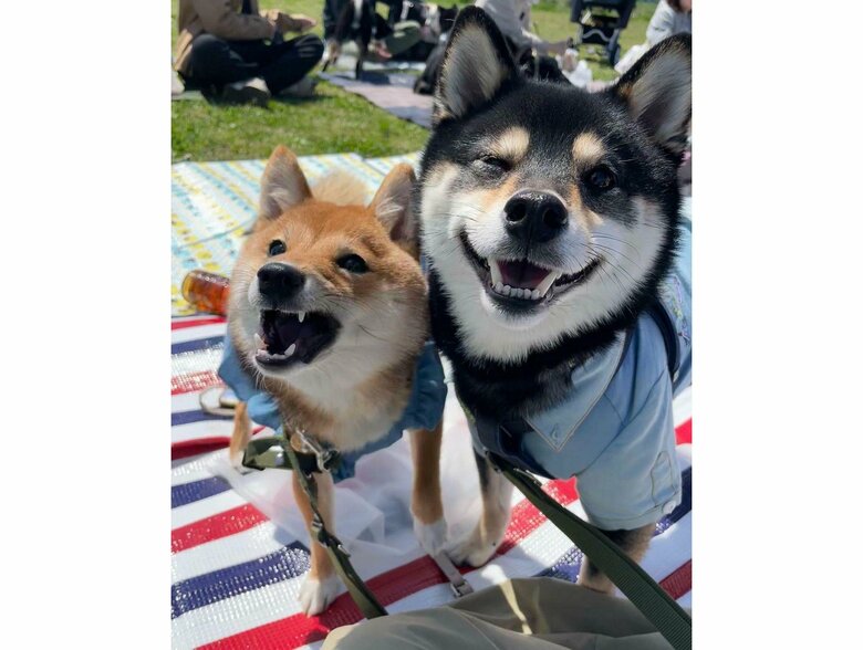 左：夢栗ちゃん　右：豆福くん（提供：まめふく&ゆめくりさん）