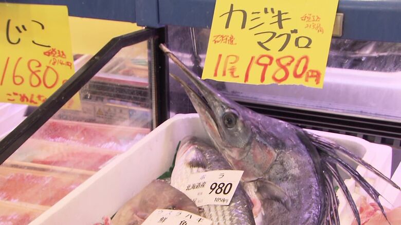 石狩産カジキマグロ