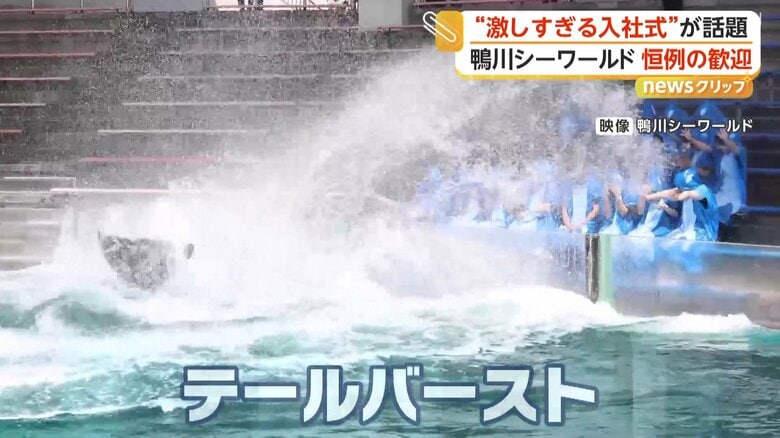 入社式で行われた「テールバースト」と呼ばれるパフォーマンス