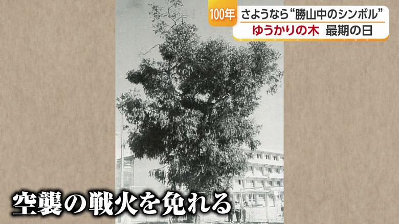 松山空襲の中、生き延びた「ゆうかり」
