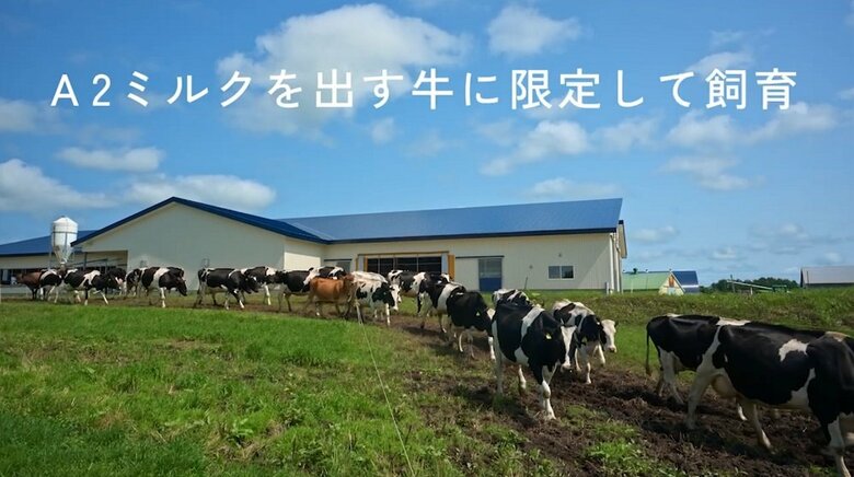 （提供：株式会社カネカ）