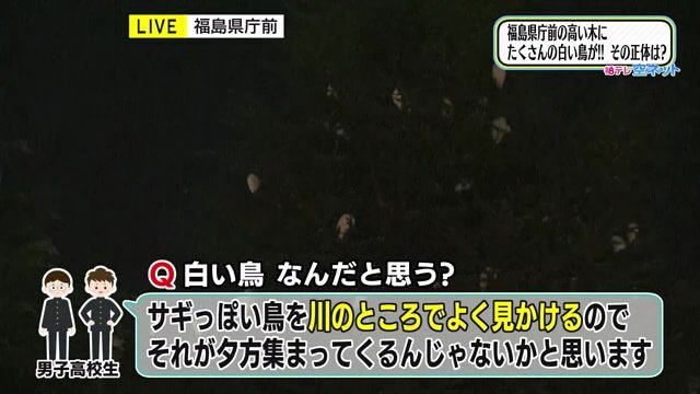高校生の証言「サギのような鳥を川で見かける」
