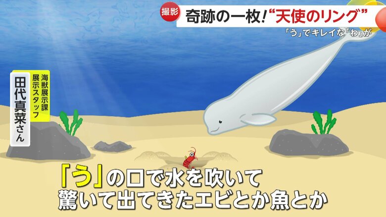 食べ物を探す際のイメージ画像