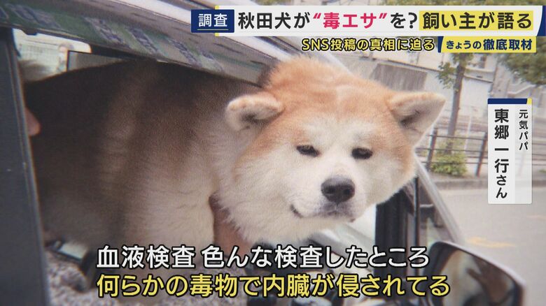 愛犬の秋田犬・元気くんに突然の異変