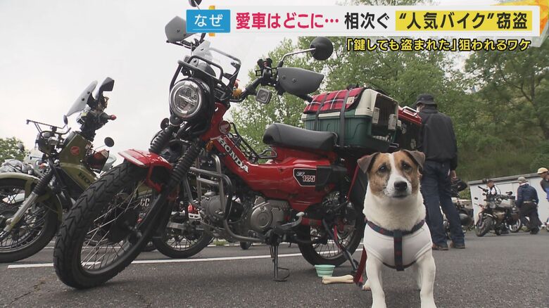 ホンダの「カブシリーズ」