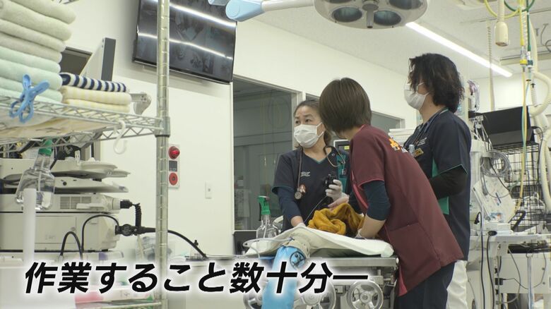 内視鏡を使い誤飲した「ピック」を取り除く様子