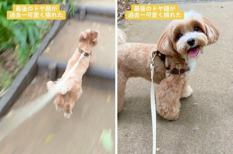 階段ダッシュからの“ドヤ顔”！