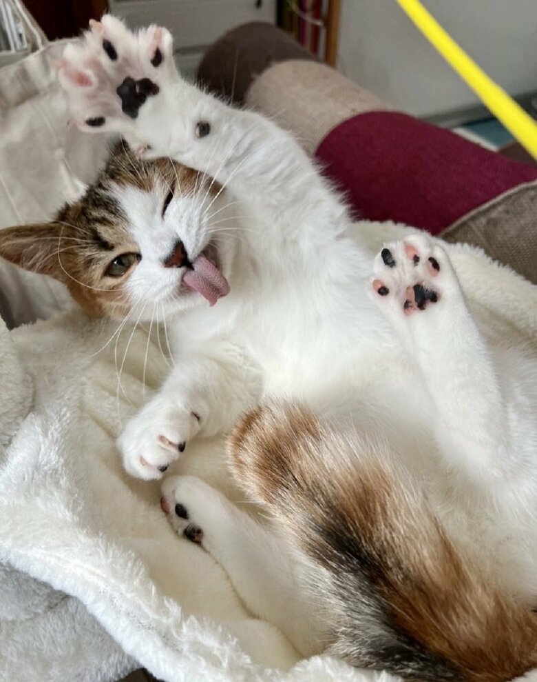 あっかんべー！