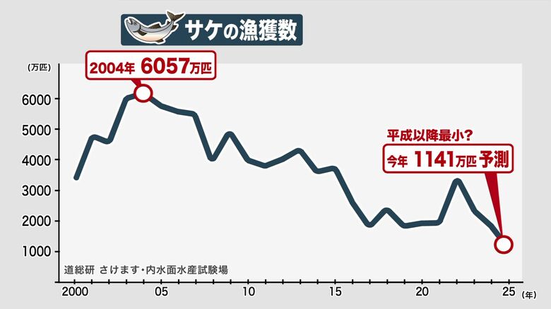 サケの水揚げは20年前と比べると5分の1に