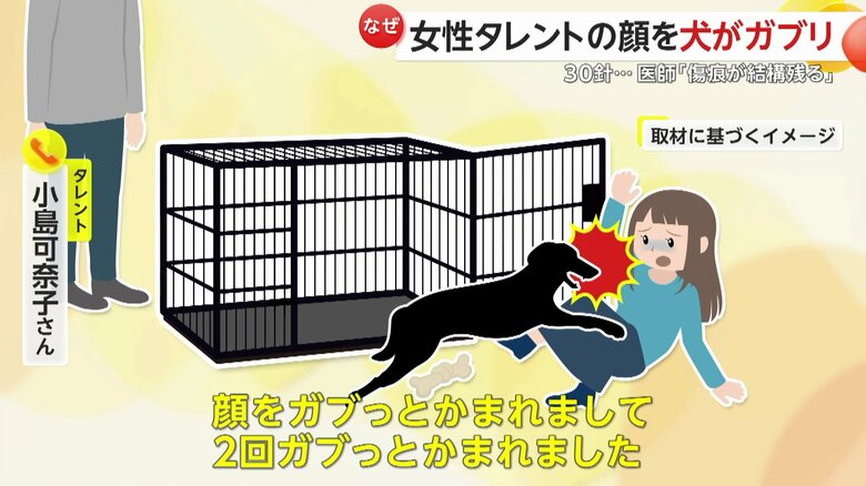 （取材に基づくイメージ）