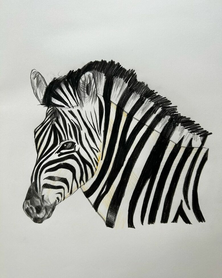 小学2年生の時に描いた「シマウマ」