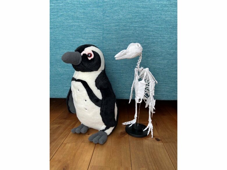 ぬいぐるみと一緒に