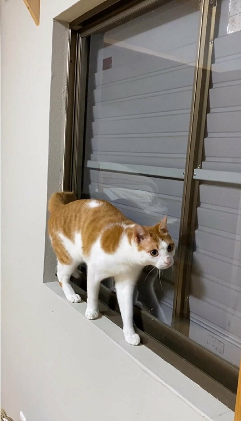 体勢を整え、何事もなかったかのようにUターン成功！