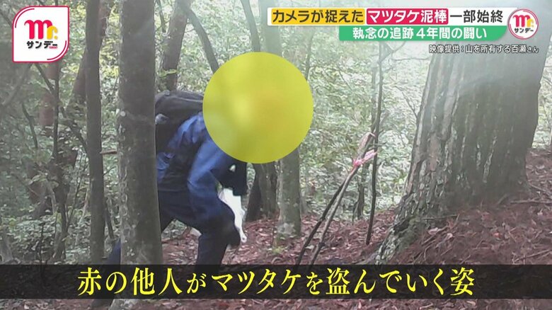 防犯カメラに映っていたのは、赤の他人がマツタケを盗む姿だった
