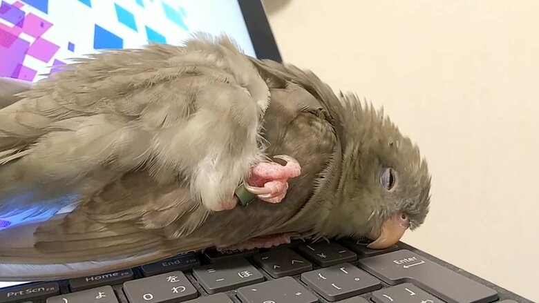 モミモミ後にそのままの体勢で眠くなってしまった…