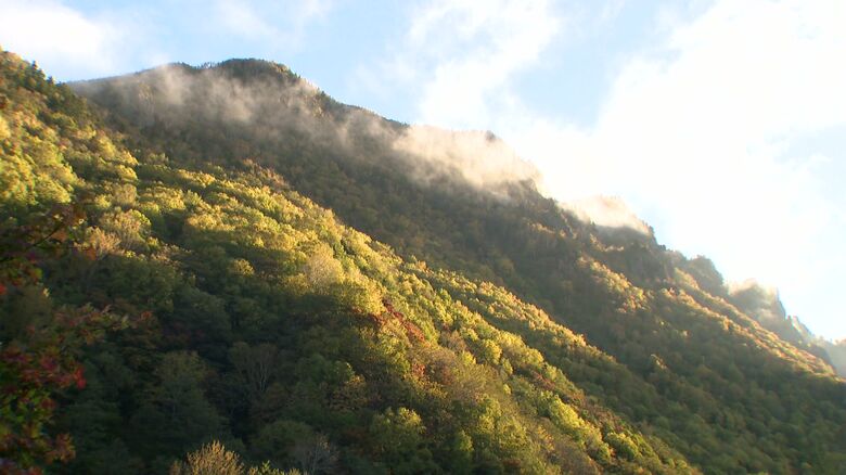 道内各地で冬日